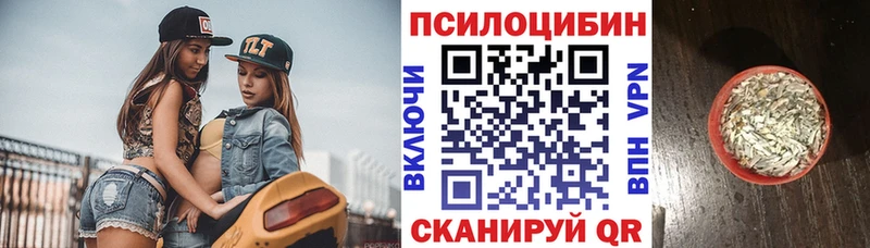 Галлюциногенные грибы Psilocybine cubensis  Бор 